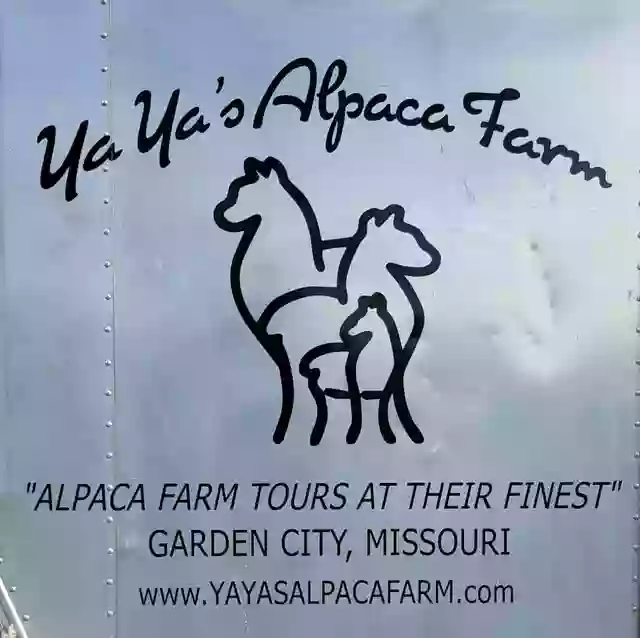 Yaya's Alpaca Farm