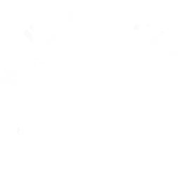 House of Pain Gym