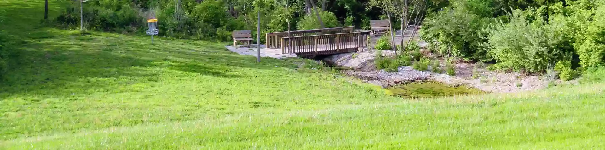 The Flying Cardinal at Lawson City Lake