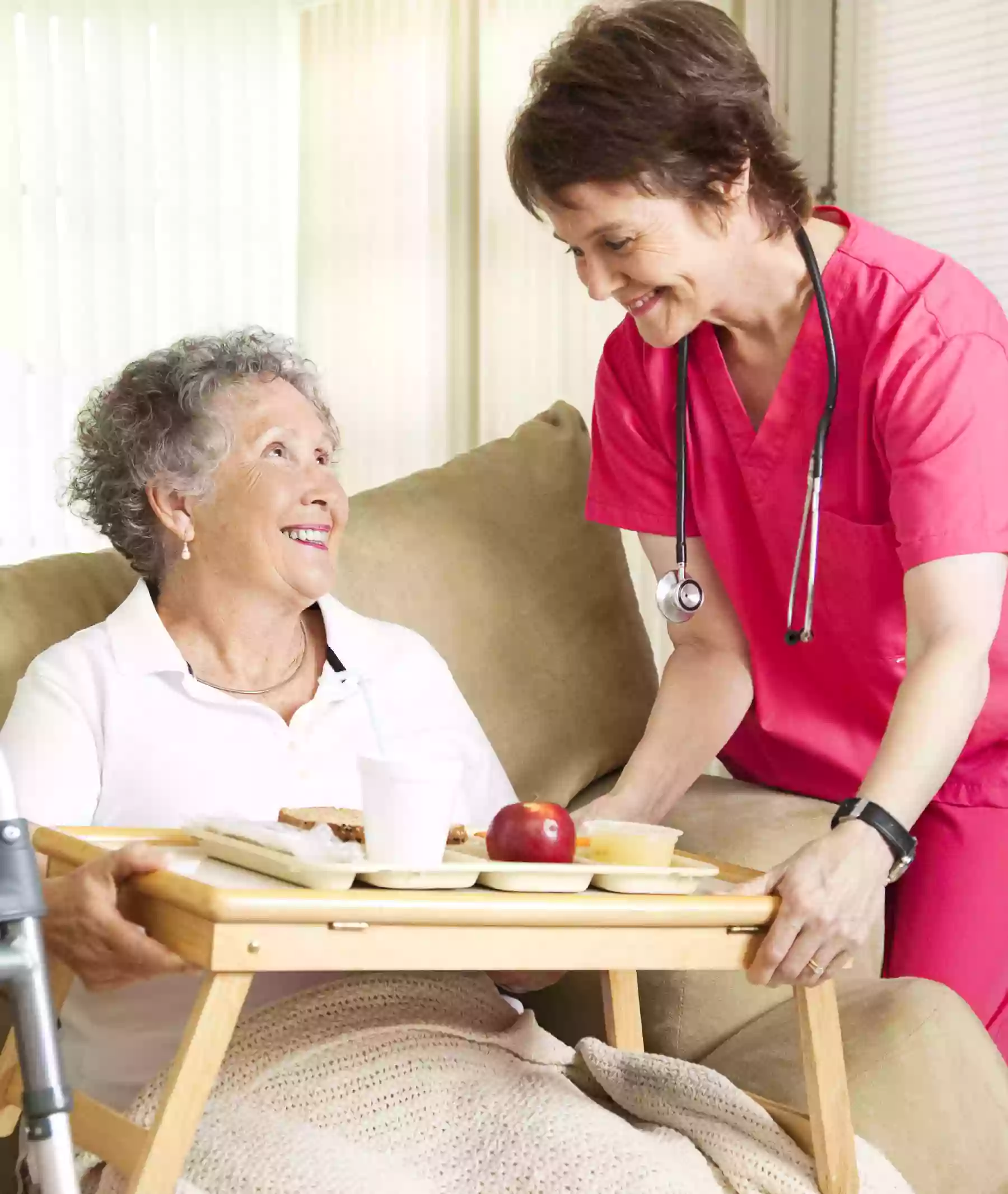 Access Home Health Agency of Branson