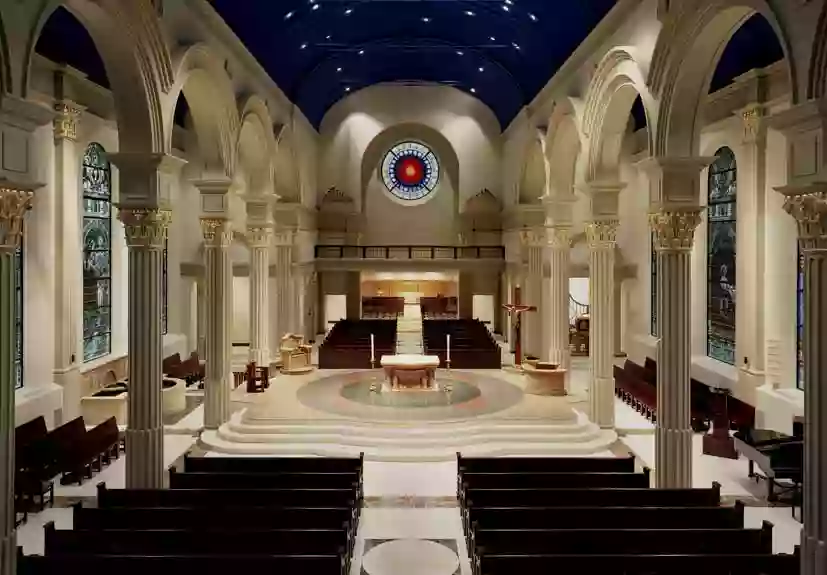 The Cathedral of the Immaculate Conception