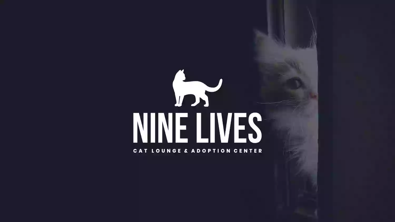 Nine Lives Cat Lounge & Adoption Center