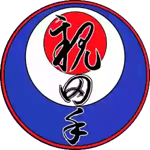 RyuShinKan - Kenshukai Martial Arts