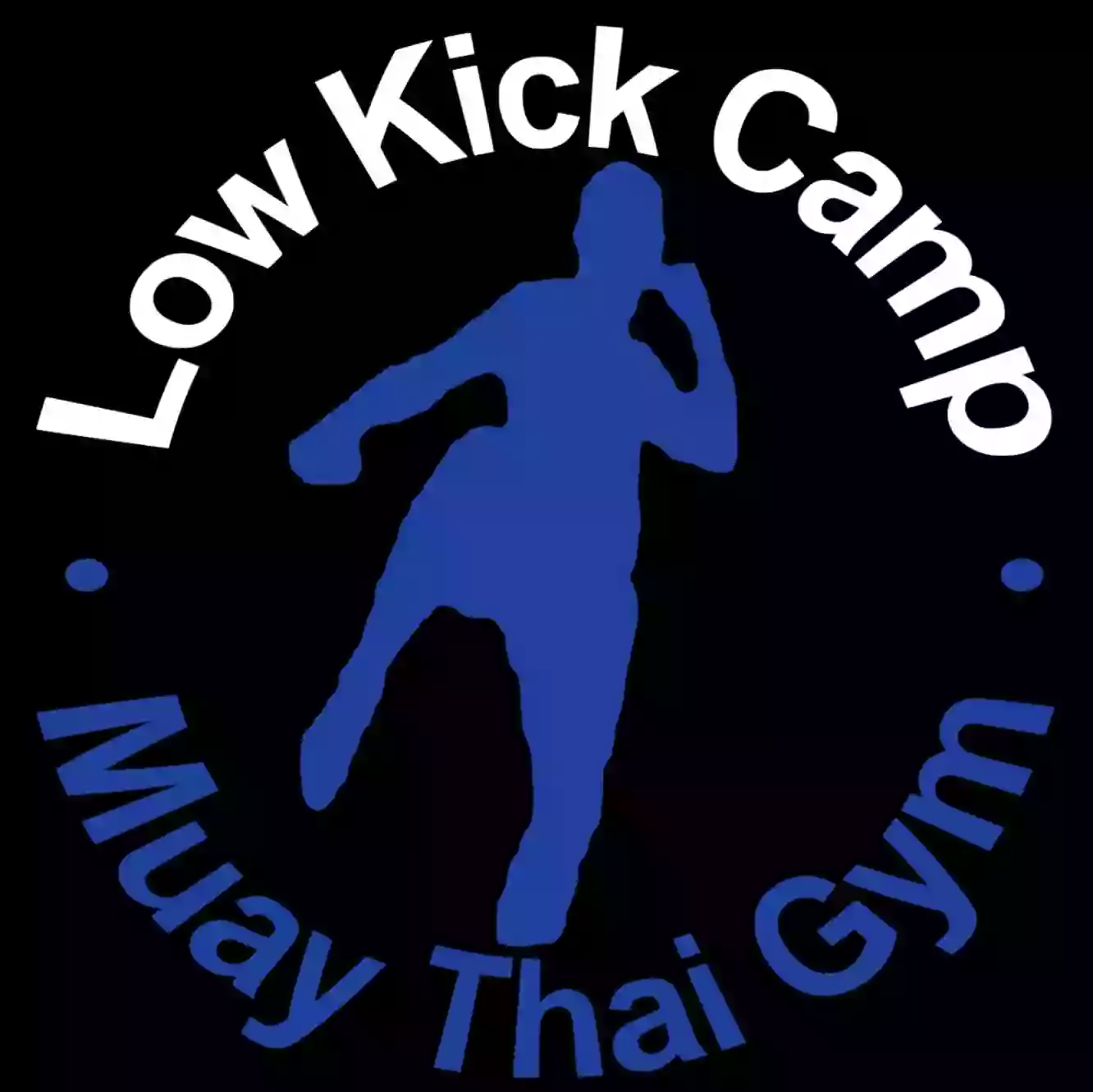 Low Kick Camp