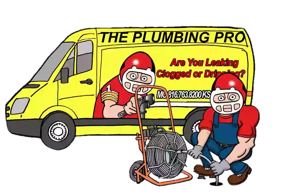 The Plumbing Pro