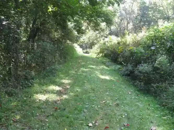 Steyermark Woods Conservation Area