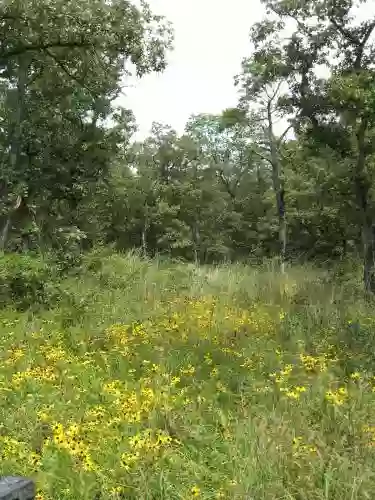 White Memorial Wildlife Area