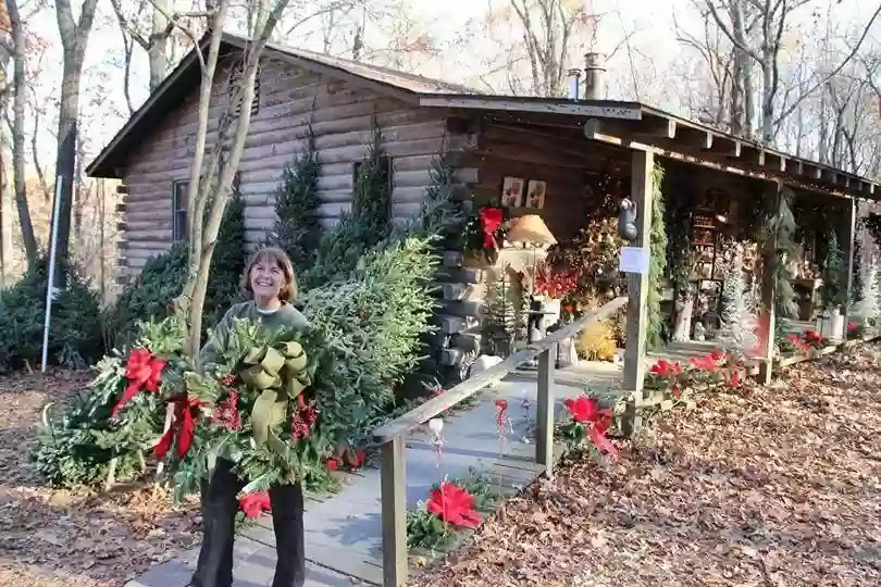 Yule Log Cabin