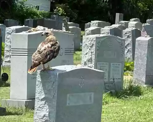 Beth Hamedrosh Hagodol Cemetery