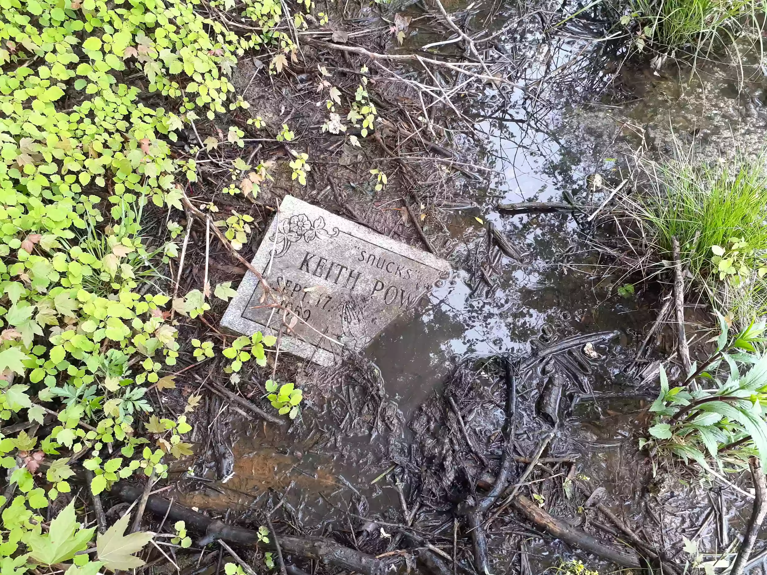 Washington Park Cemetery