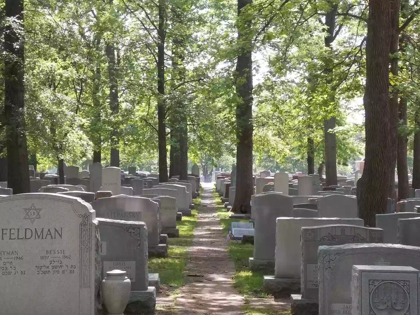 Chesed Shel Emeth Cemetery