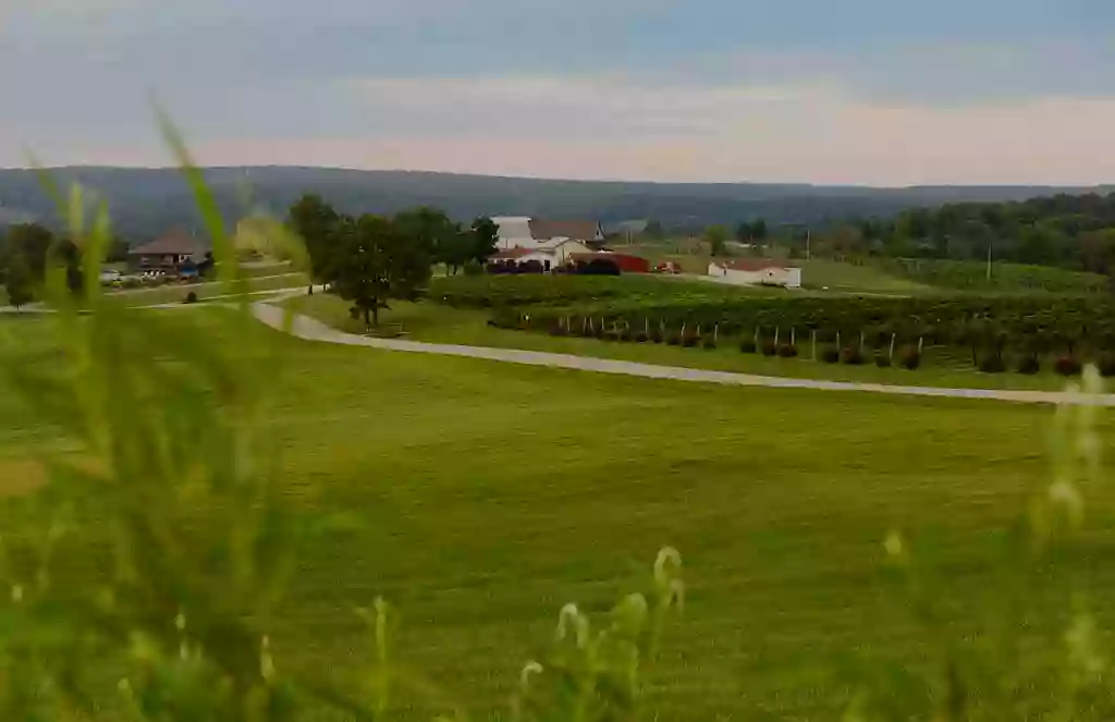 St. Vincent’s-in-the-Vineyard Chapel