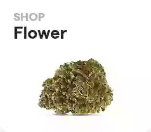 Bloom Weed Dispensary Libby