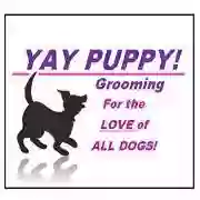 Yay Puppy Grooming