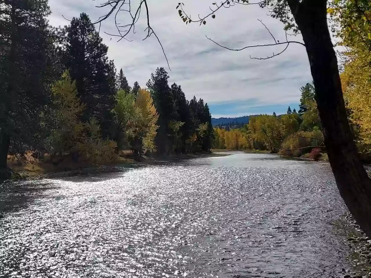 Bitterroot River House