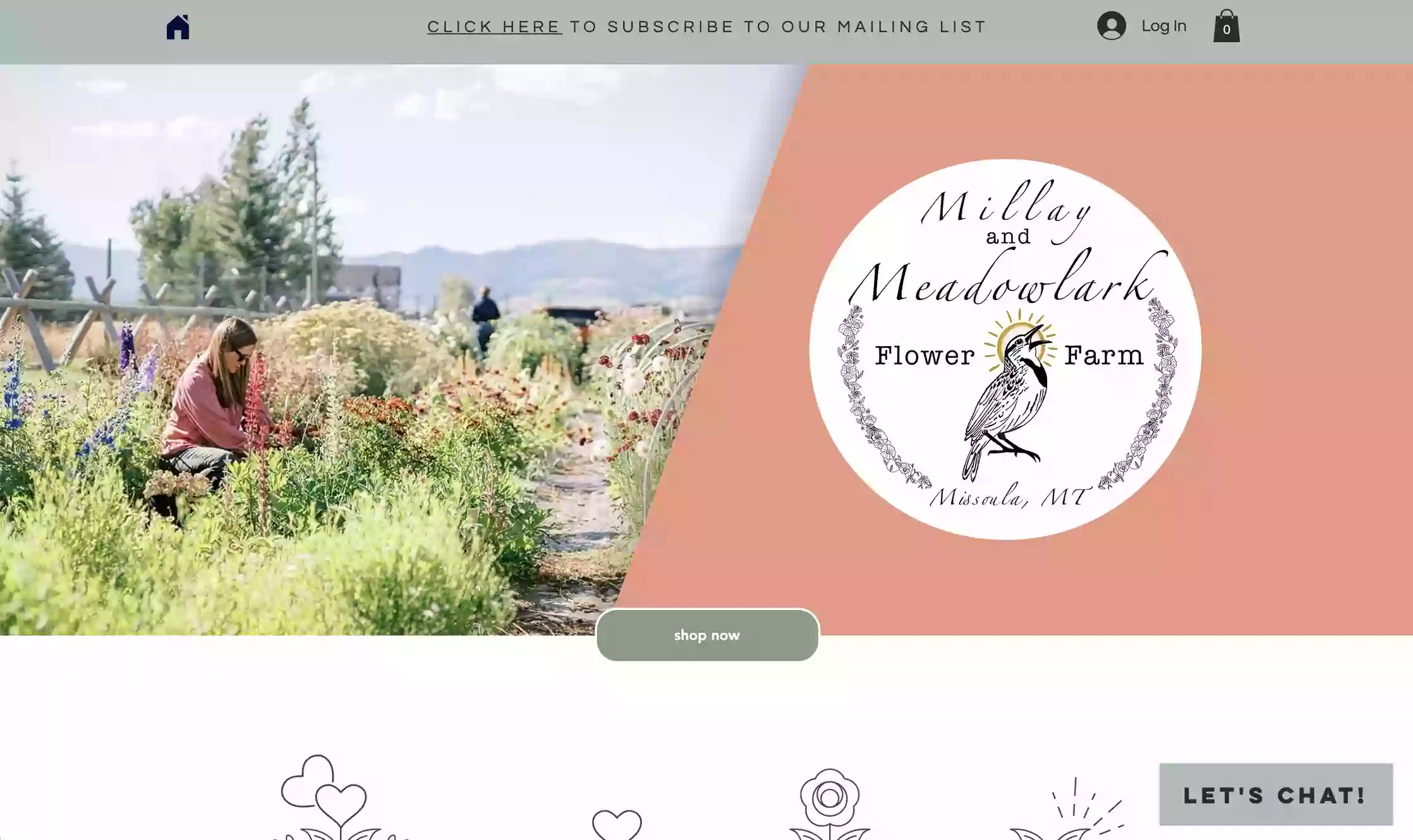 Millay and Meadowlark Flower Farm