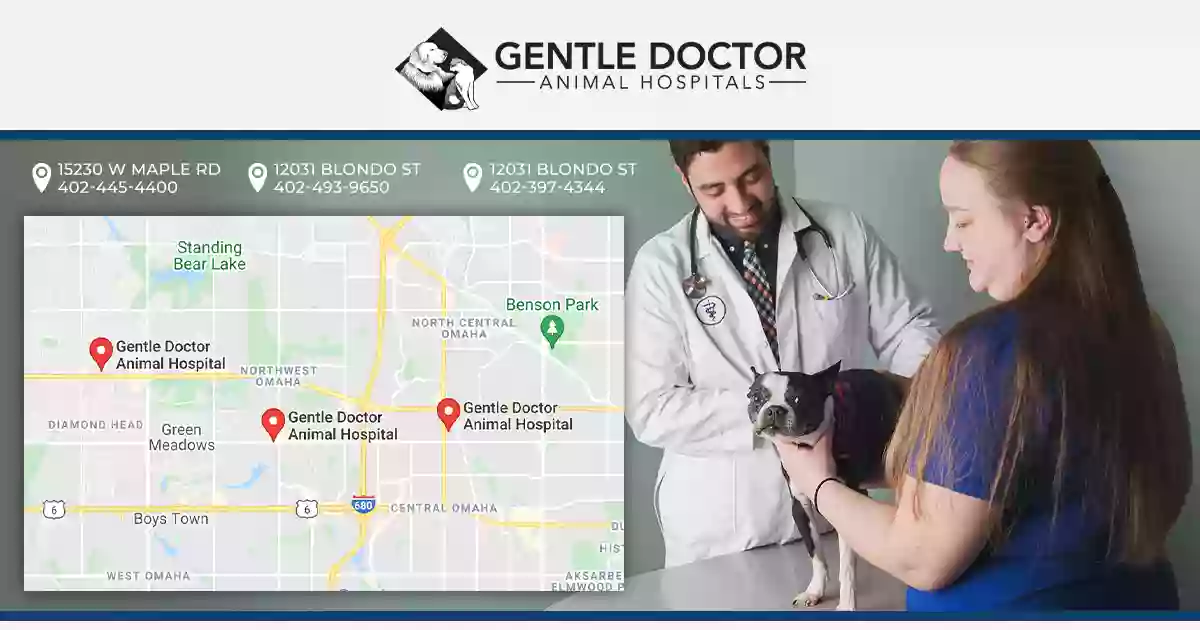 Gentle Doctor Animal Hospital