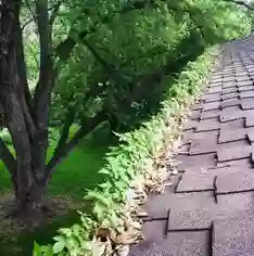 Classic Window and Gutter Cleaning