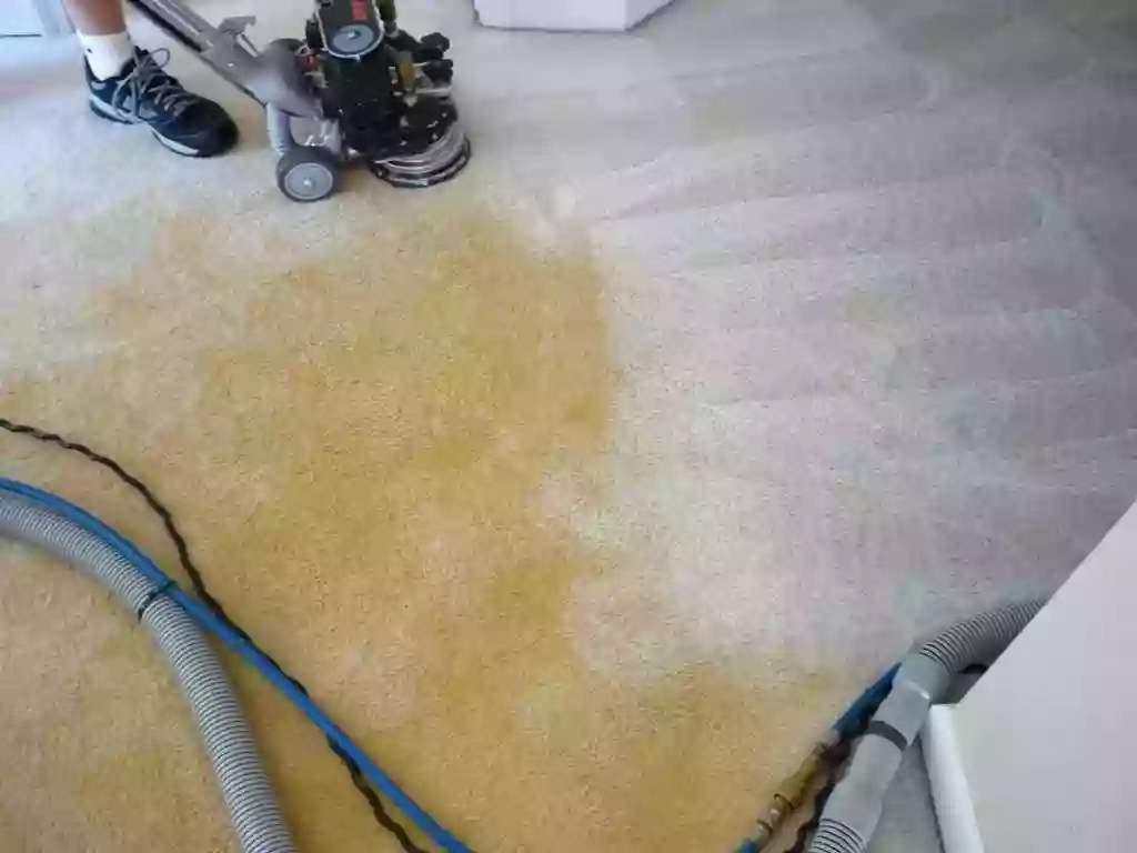 AAA Carpet Cleaning Omaha and Water Damage Restoration