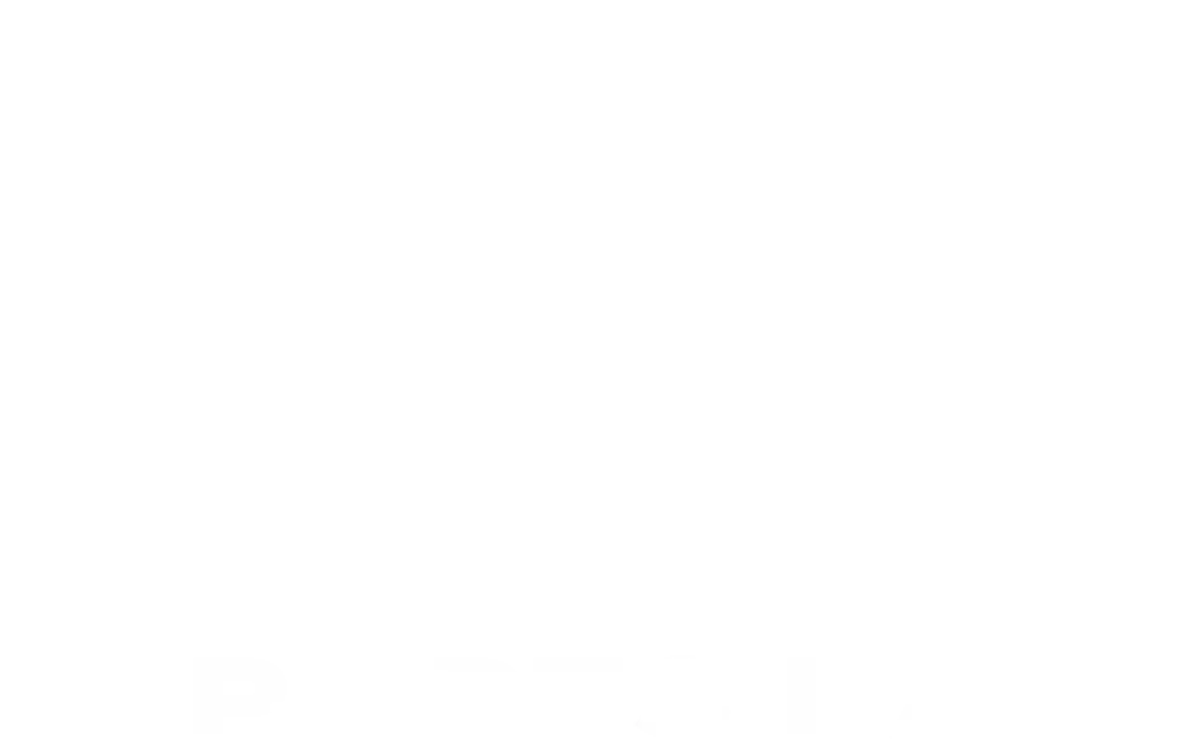 Let it Fly Sports Bar