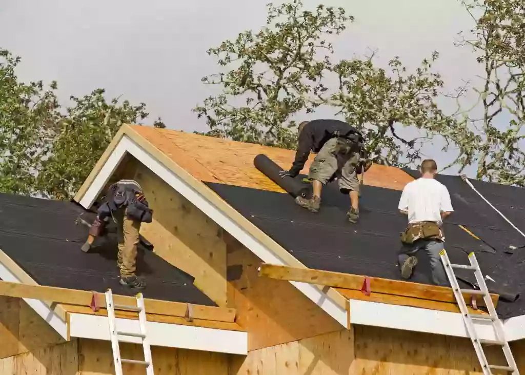 Bellevue Roofing Repair Pro