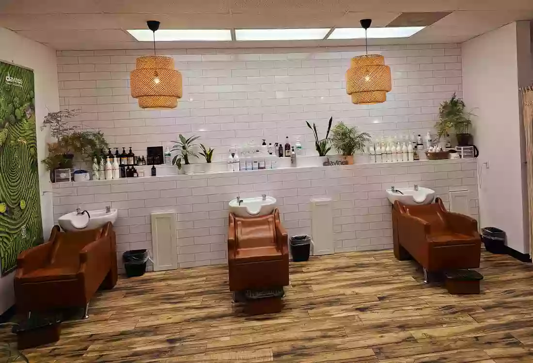 Ash and Ivy Salon