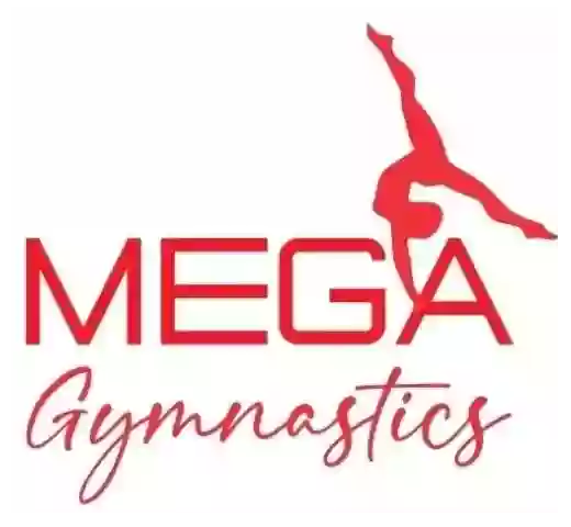 Midwest Elite Gymnastic Academy