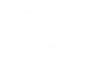 Synergy Animal Care