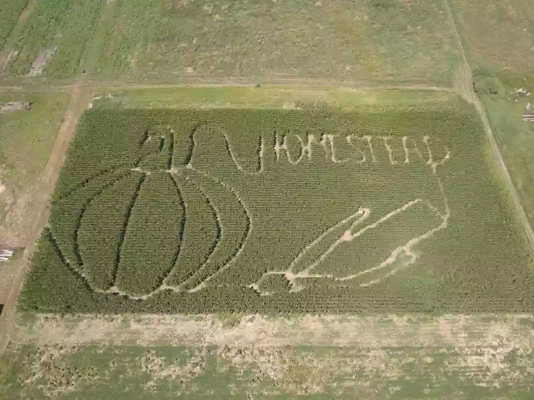 Homestead Pumpkin Patch