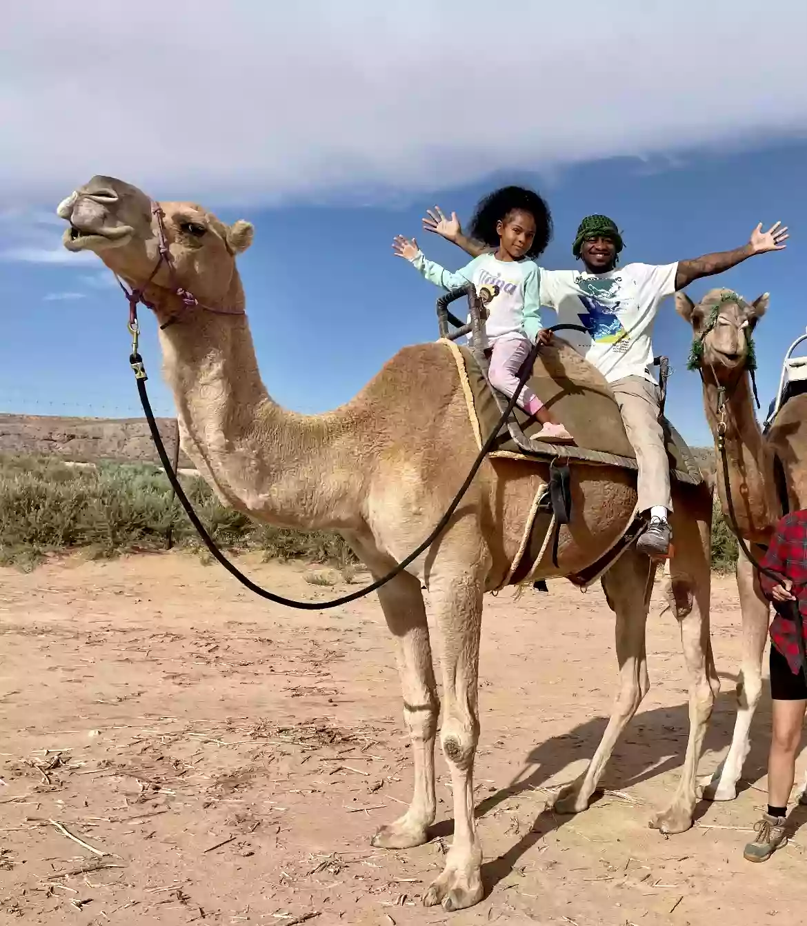 Bunkerville Camel Safari