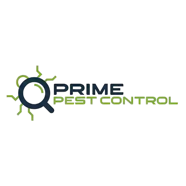 Prime Termite & Pest Control Las Vegas