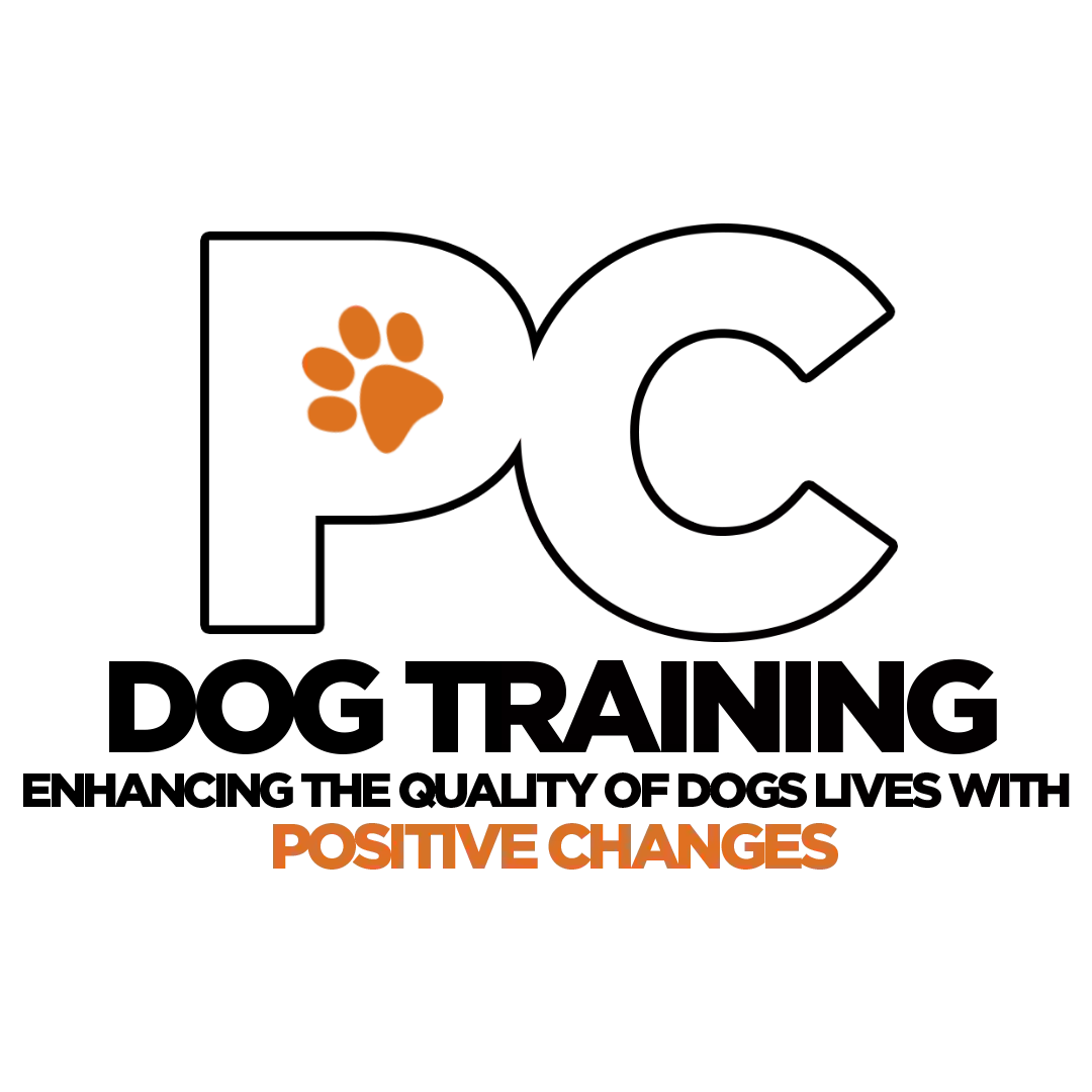 Positive Changes Dog Training