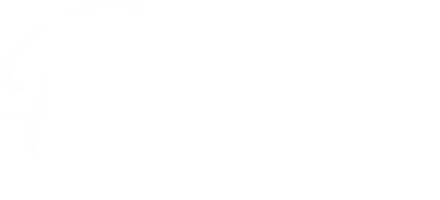 Carson Piazza Bar