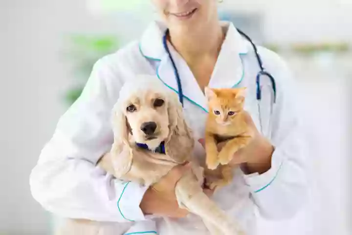 Options Veterinary Care