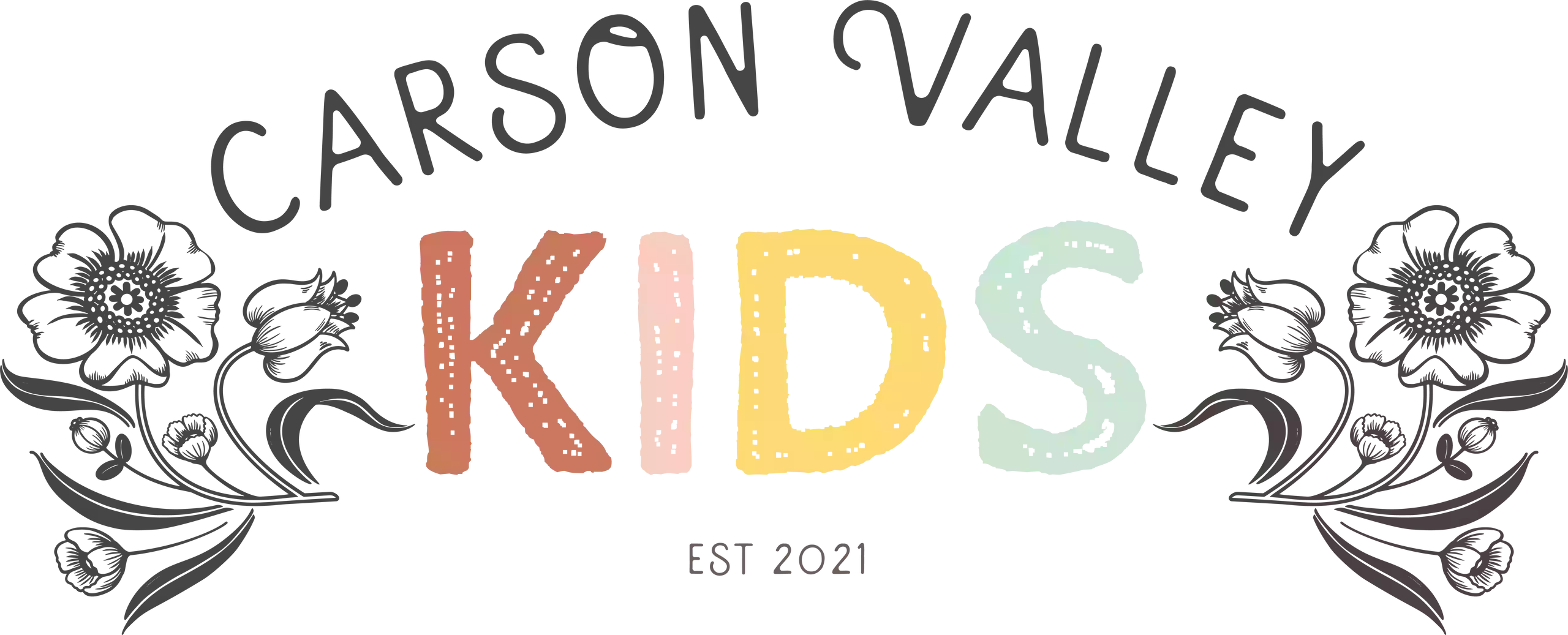 Carson Valley Kids Store