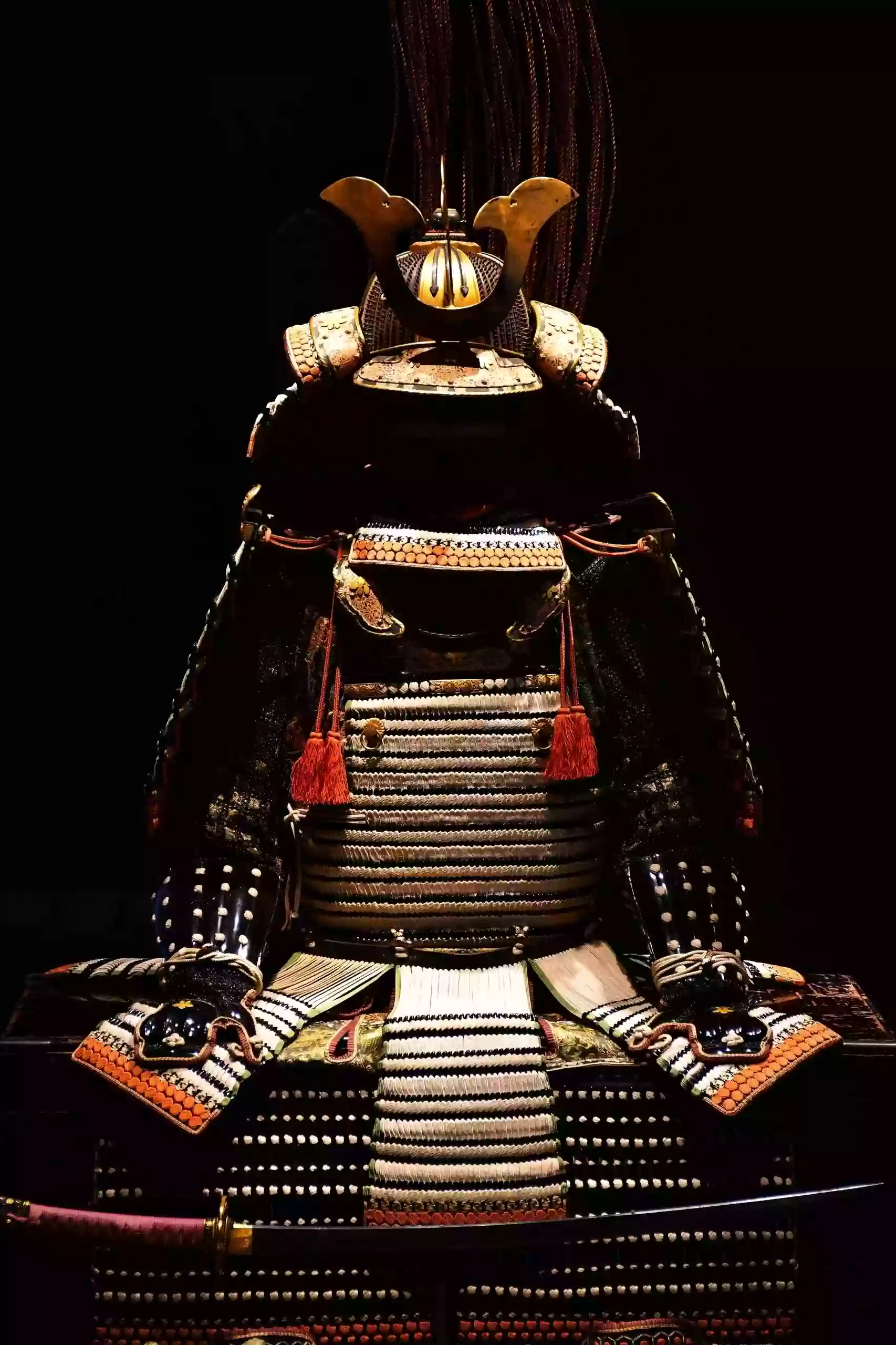 Samurai Arts of Reno