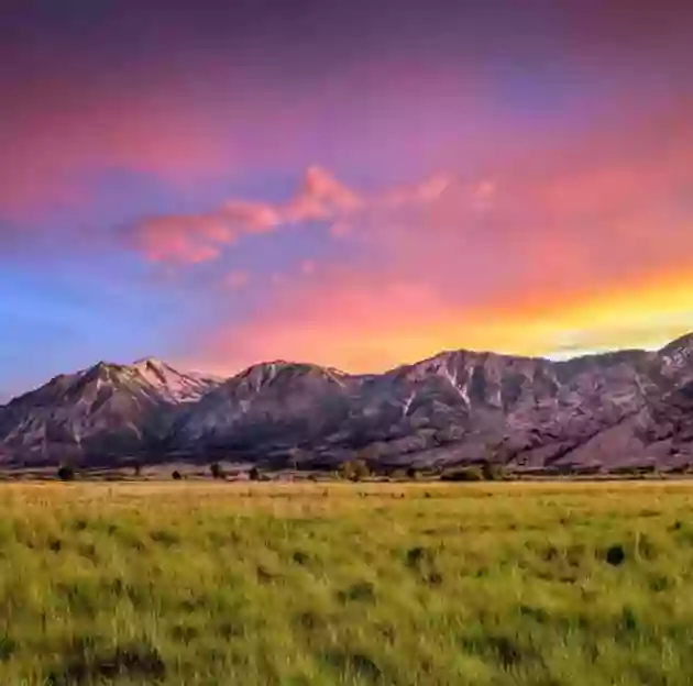 Carson Valley Visitors Authority