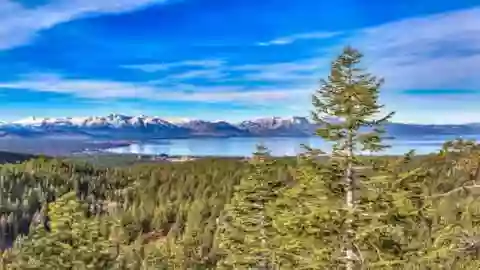 Tahoe Blue Estate