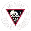 Las Vegas Combat Academy & Mixed Martial Arts