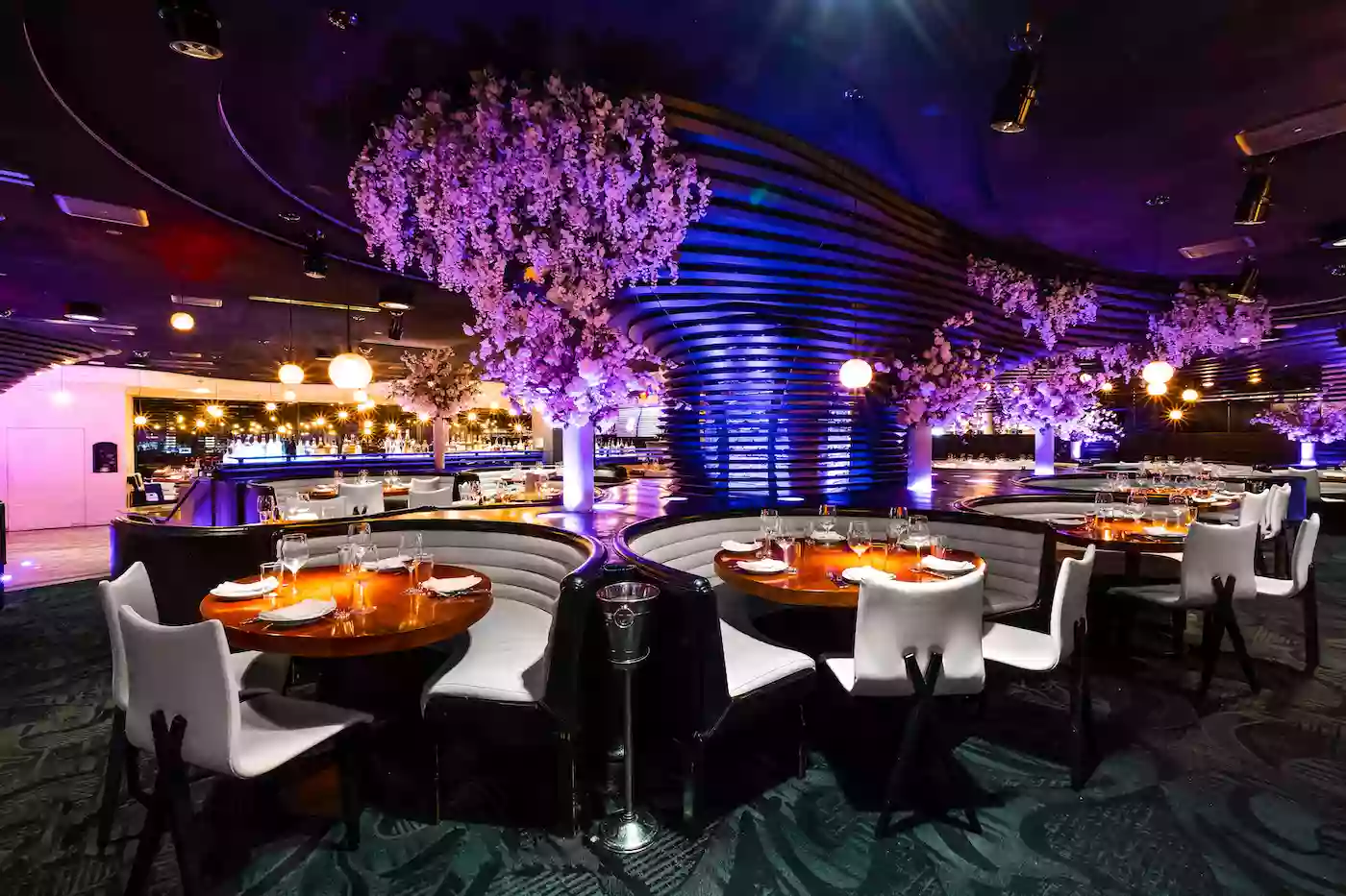 STK Steakhouse