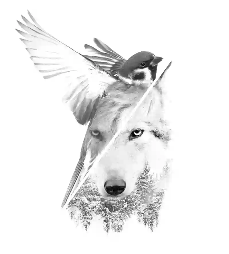 Sparrow + Wolf