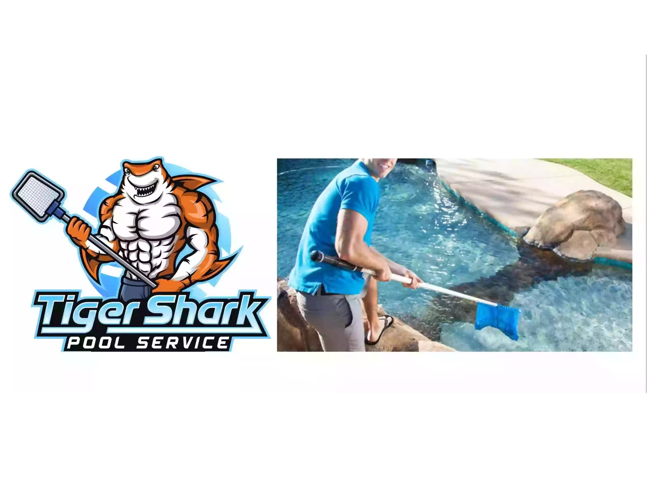 Tiger Shark Pool Service