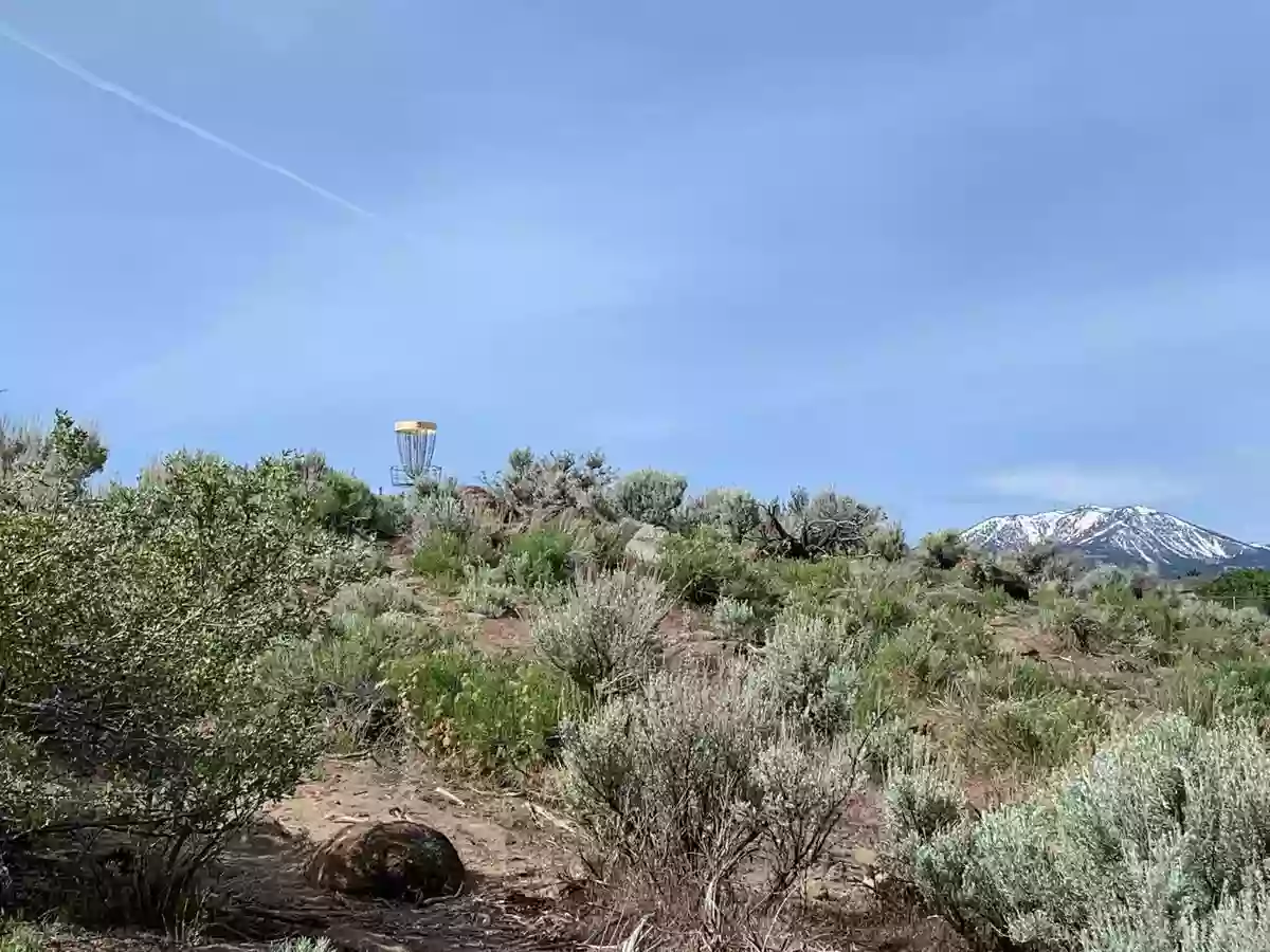 The Wedge at South Valleys Disc Golf Course