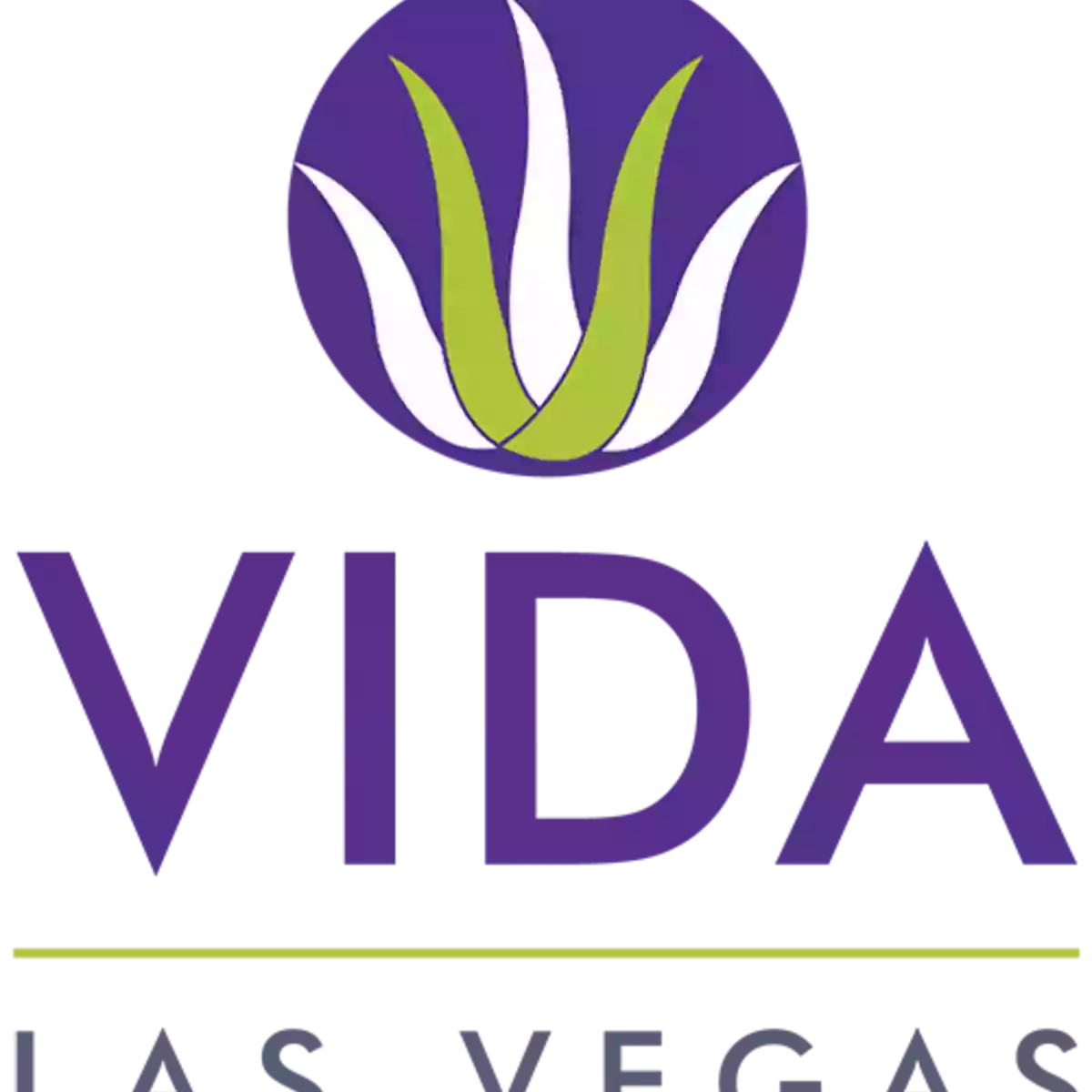 Vida Las Vegas