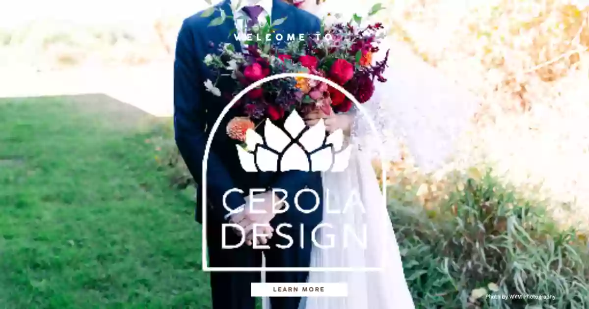 CeBola design