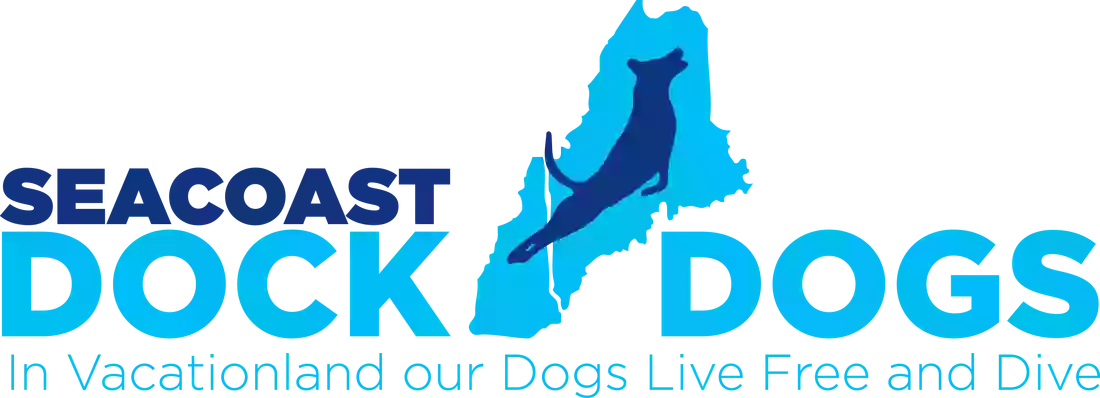 Seacoast Dock Dogs