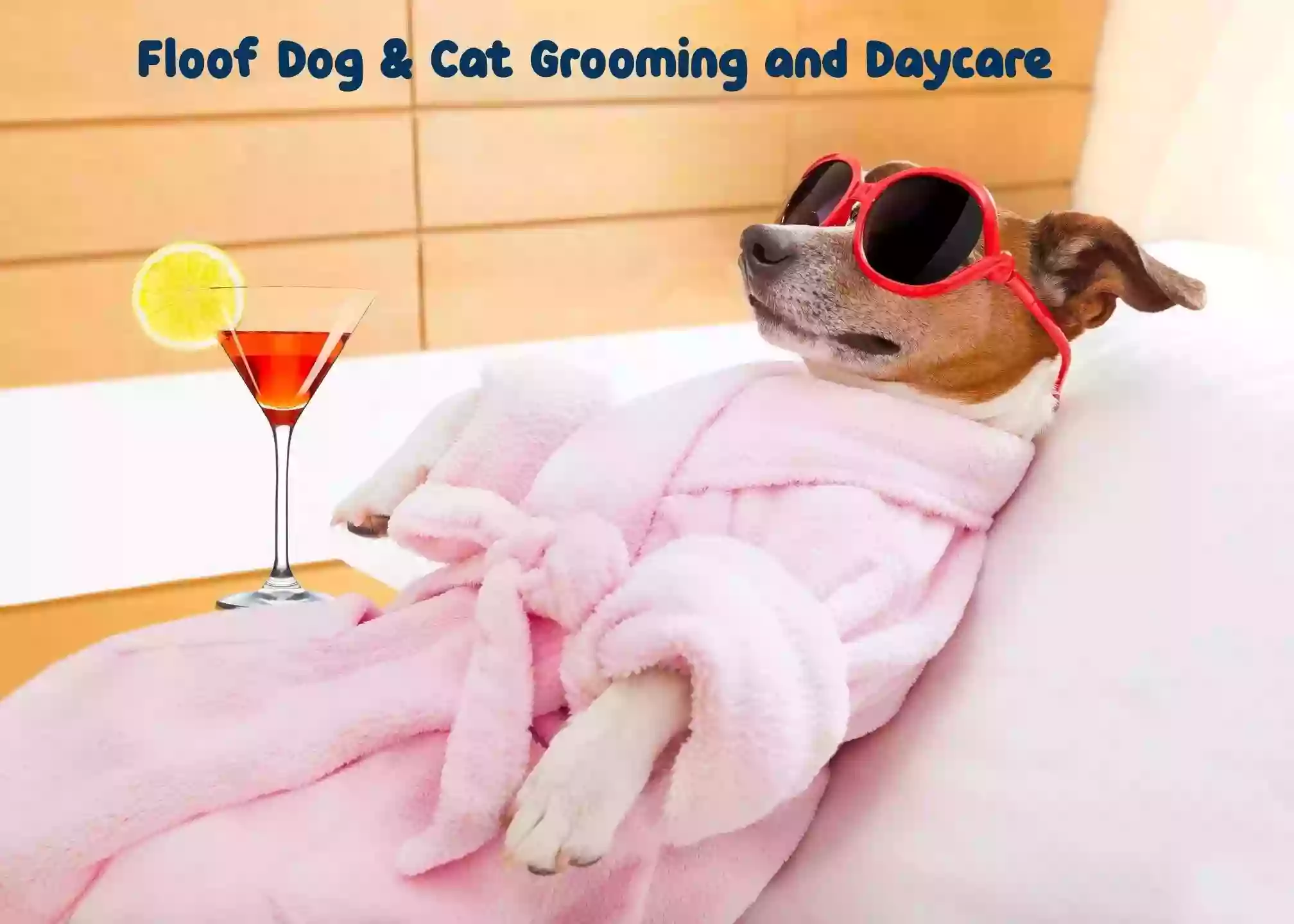 Floof Dog and Cat Grooming & Daycare