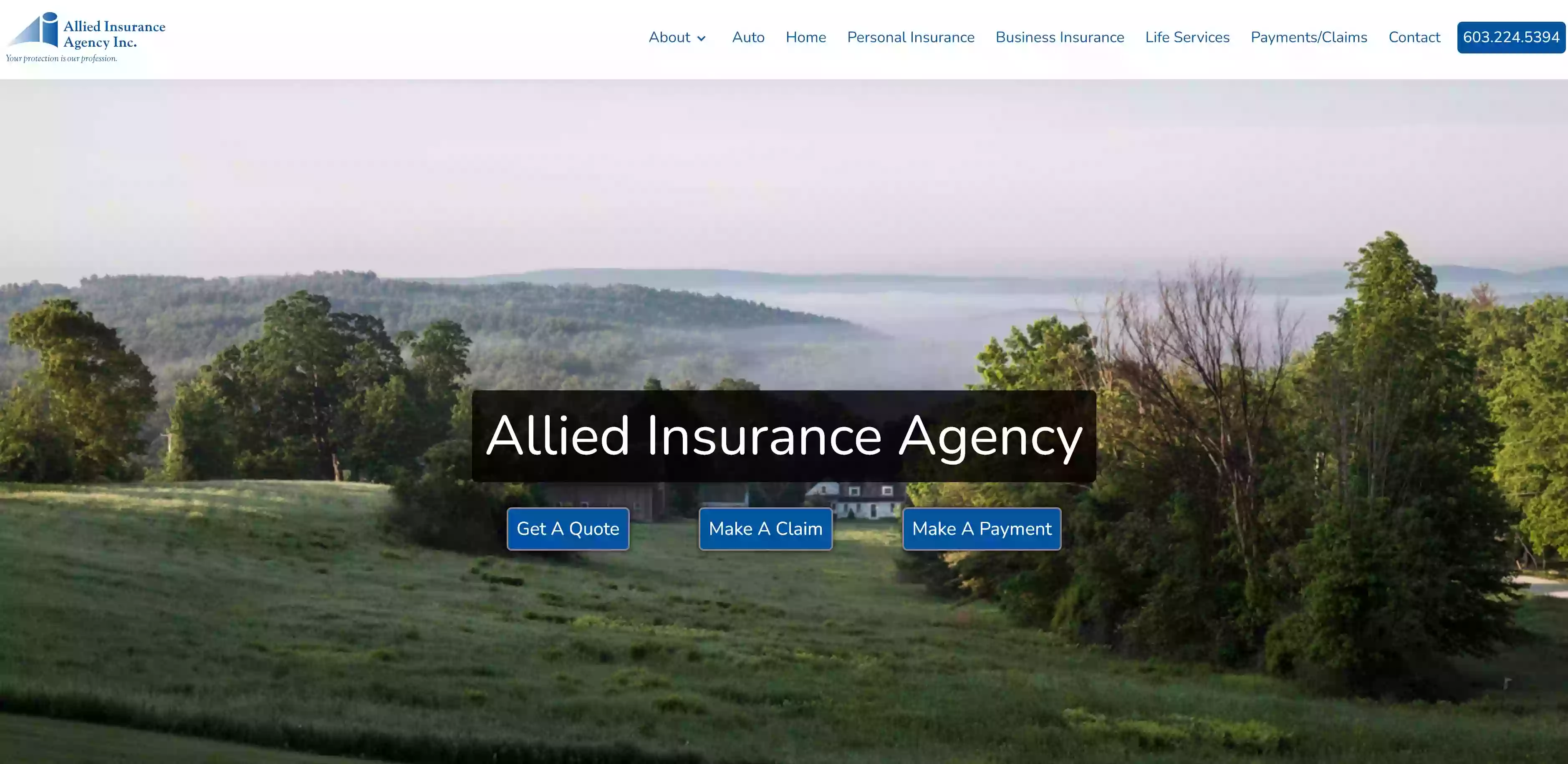 Allied Insurance Agency Inc.