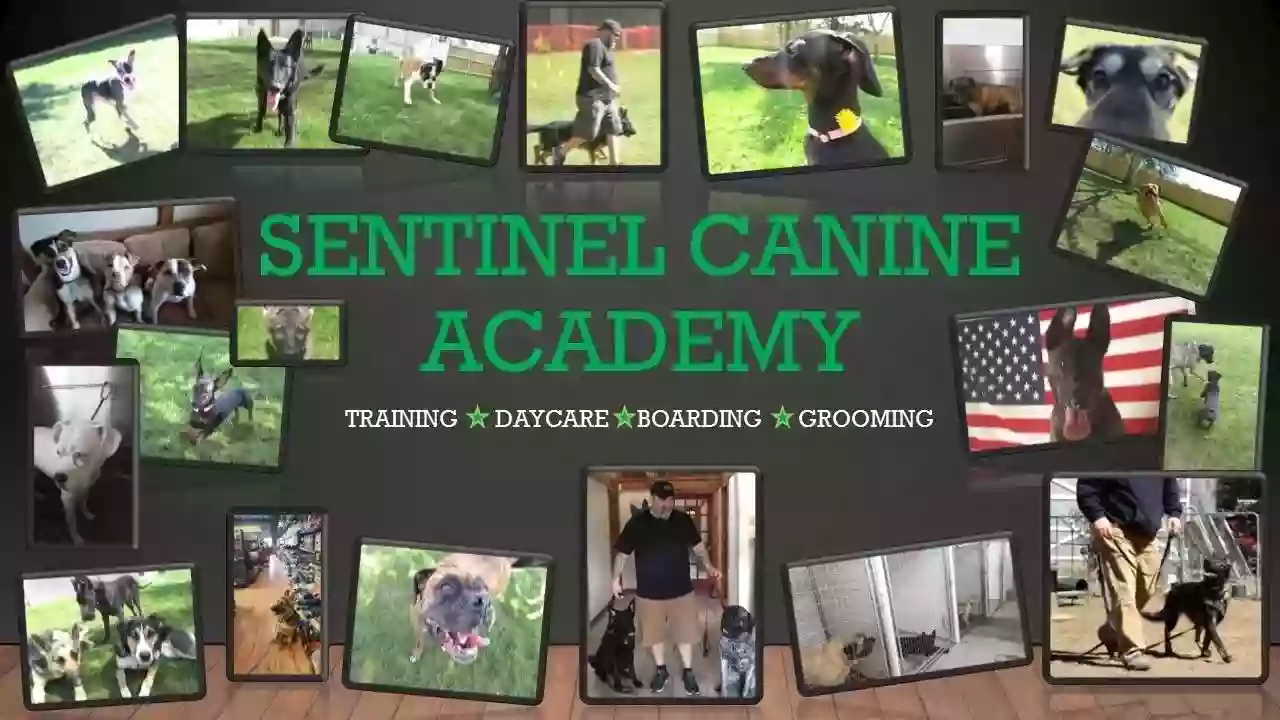 Sentinel Canine Academy