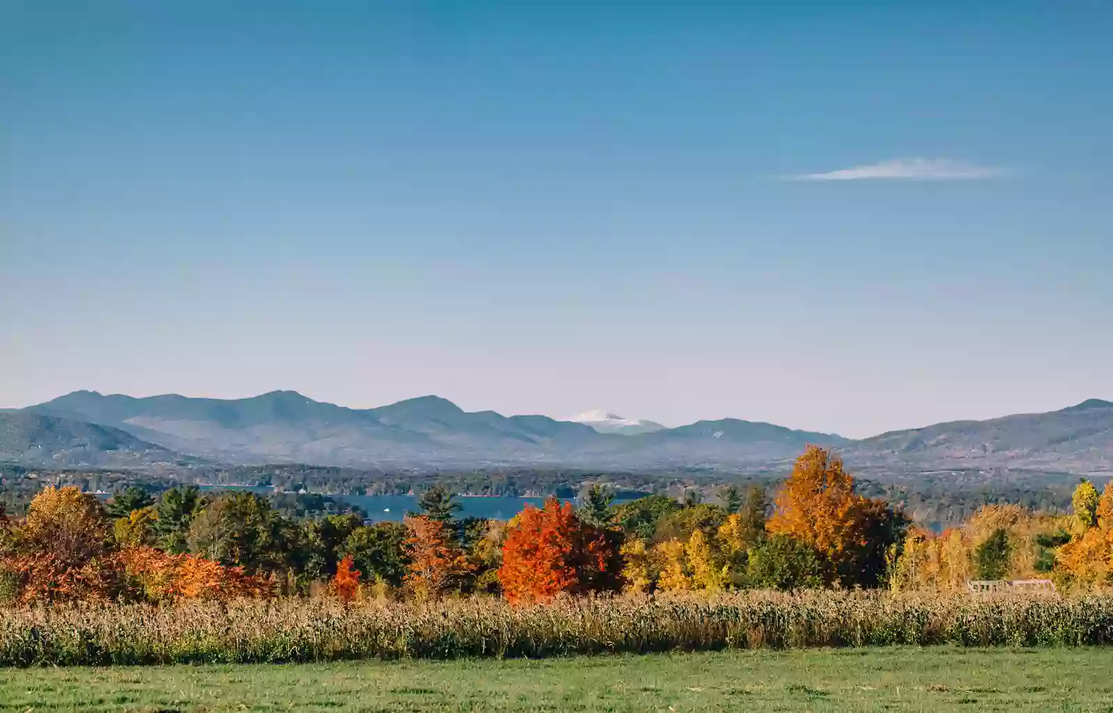 Timber Hill Farm